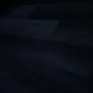 Meet your Posher, Dion